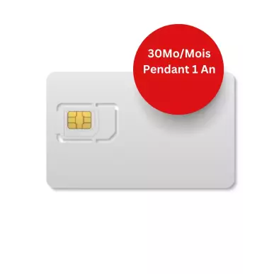 Carte SIM Data 30Mo/ mois renouvellable 1 an valide sur l'Europe
