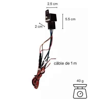 Auto-GPS-Tracker mit Motorabschaltung und Bewegungsalarm