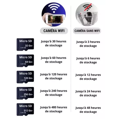 Carte Micro SD 32 Go Pour Caméra Espion Et Surveillance 24h/24