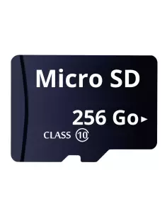 256 GB Micro-SD-Karte für Spionagekamera und 24/7-Überwachung