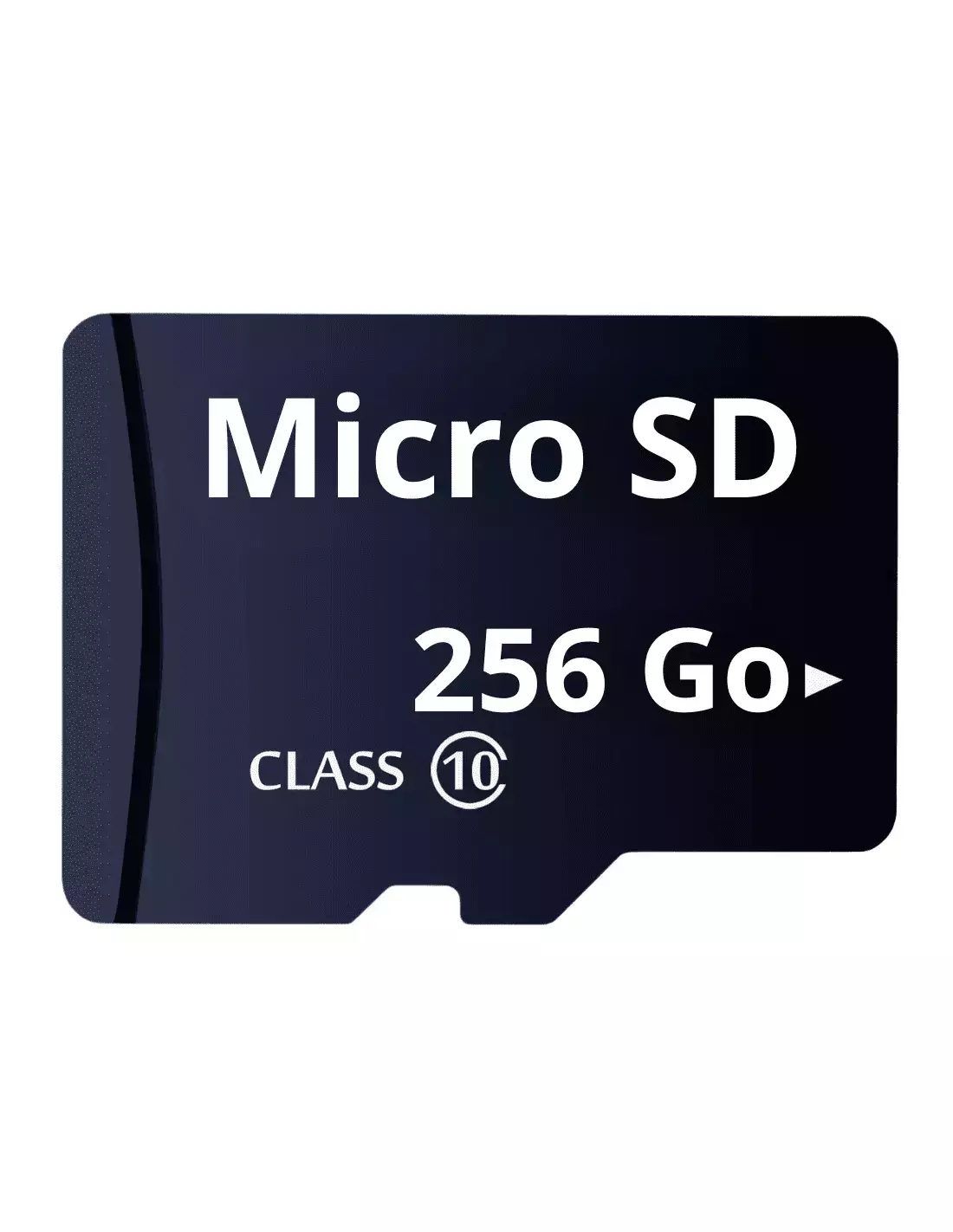 Carte Micro SD 256 Go Pour Caméra Espion Et Surveillance 24h/24