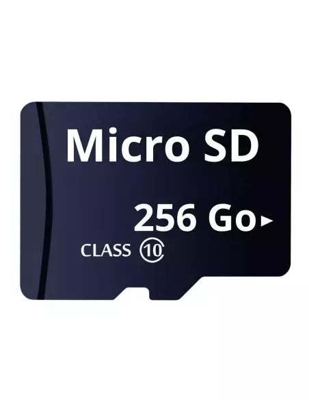 256 GB Micro-SD-Karte für Spionagekamera und 24/7-Überwachung