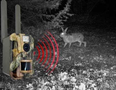 4GCH vision de nuit